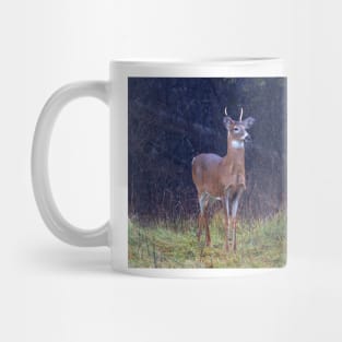 Young Royalty - White-tailed deer Mug